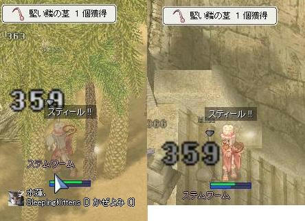 aniba10.jpg