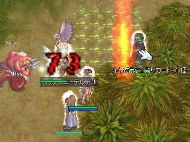 kinkyou3.jpg