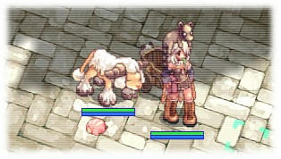 test.jpg