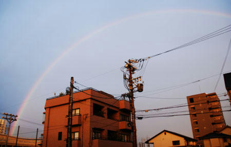 DSC_8173.jpg