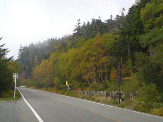 DSC00287.JPG