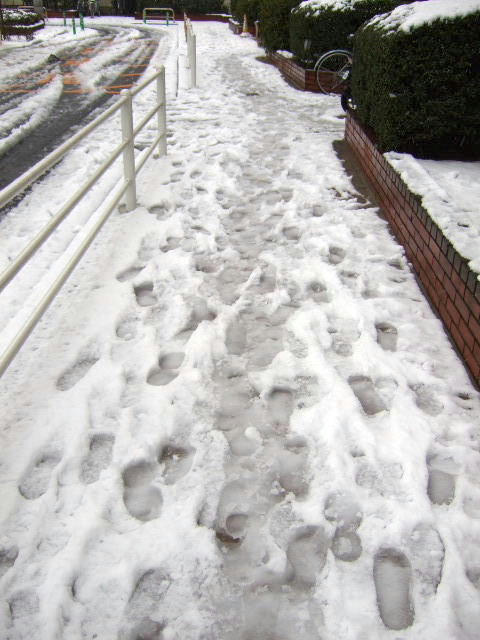 DSCF2009.JPG