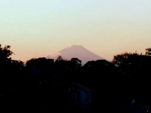 DSCF5559.jpg