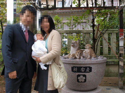 4033a4d9.jpg