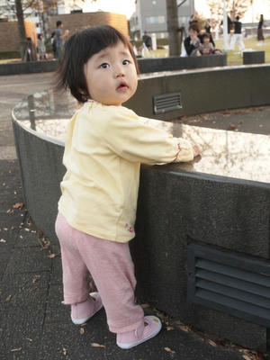 43050b9a.jpg