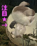 生まれつきでしたｗ