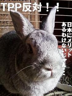 ＴＰＰ反対！！