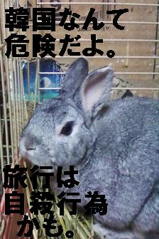 危険な国