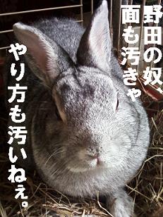野田批判