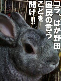 野田批判