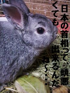 ＴＰＰ批判５