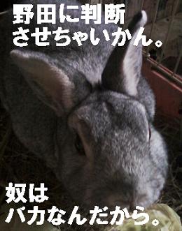 野田はバカ
