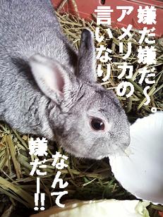 いやだよ～