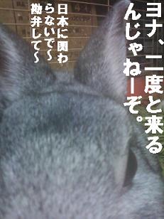 ヨナお断り