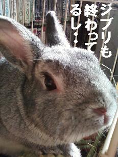 押井