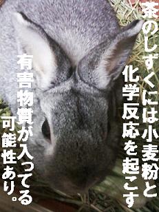 ちゃのしずく