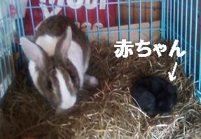 一ヶ月後