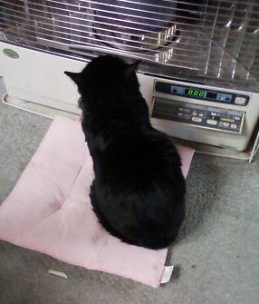 こげ特等席