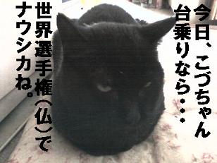 こづちゃんＧＯ