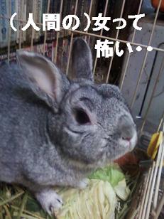 清純派なんて嘘