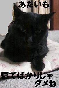 こげの反省