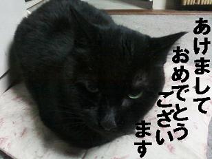 ご挨拶