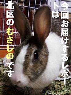 定食のむさしの