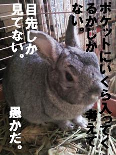 苫小牧市長を弾圧だ