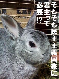 民主主義？