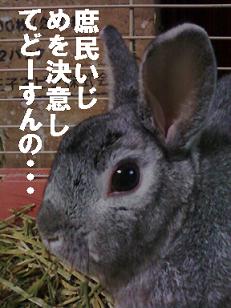 野田批判