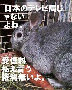 nhk捏造批判