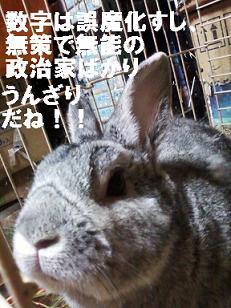 バジル１２年２月１日