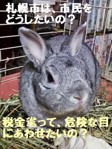 バジル１２年２月５日
