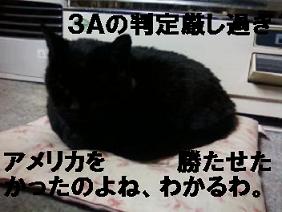 よんたいりく