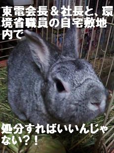 バジル１２年２月１６日