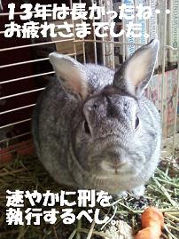 バジル１２年２月２０日