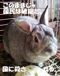 4f4754fe.JPG