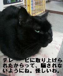 コゲ１２年２月２３日