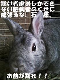 14006b34.jpeg