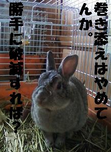 basil121107.jpeg
