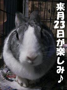 mari121111b.jpeg