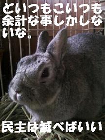 basil121112.jpeg