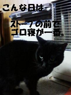 koge121118.jpeg