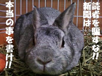 basil121123.jpeg