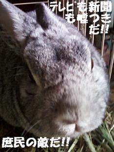 basil121212.jpeg