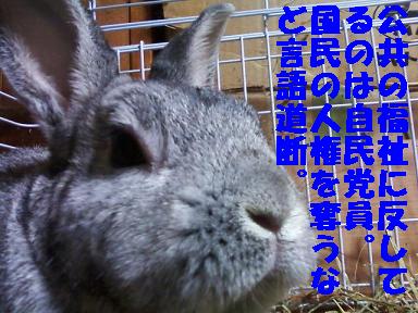 basil121213.jpeg