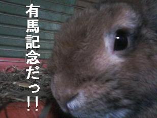 choco121222.jpeg