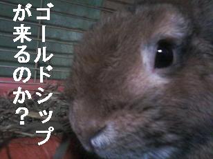 choco121222a.jpeg