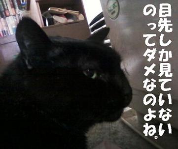 koge121223.jpeg