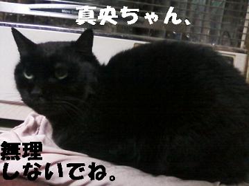 koge121226.jpeg